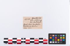Foto von Bronzeösenringnadel (NHMW-PRAE-049386)